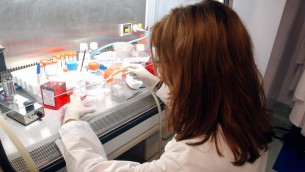 La legge 40 sulla fecondazione assistita tornerà alla Consulta