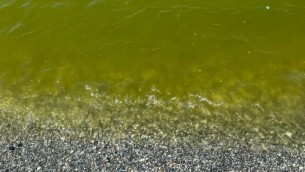 lamezia-mare-verde-800x610-1-696x531
