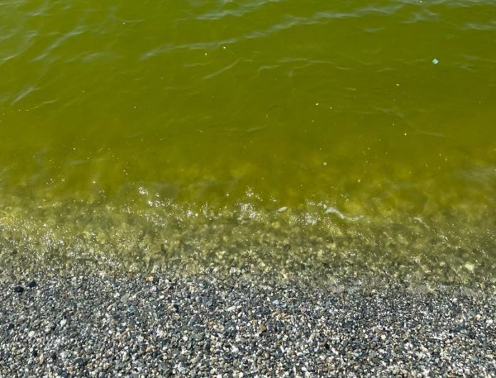 lamezia-mare-verde-800x610-1-696x531