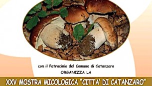 locandina-mostra-micologica