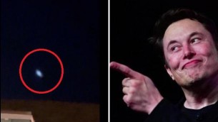 L'Ufo, l'Ucraina e Elon Musk: il mistero vola sui social