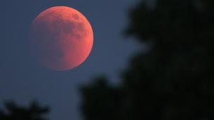 Luna rossa 2022, questa notte l’eclissi totale: orari e dove vederla