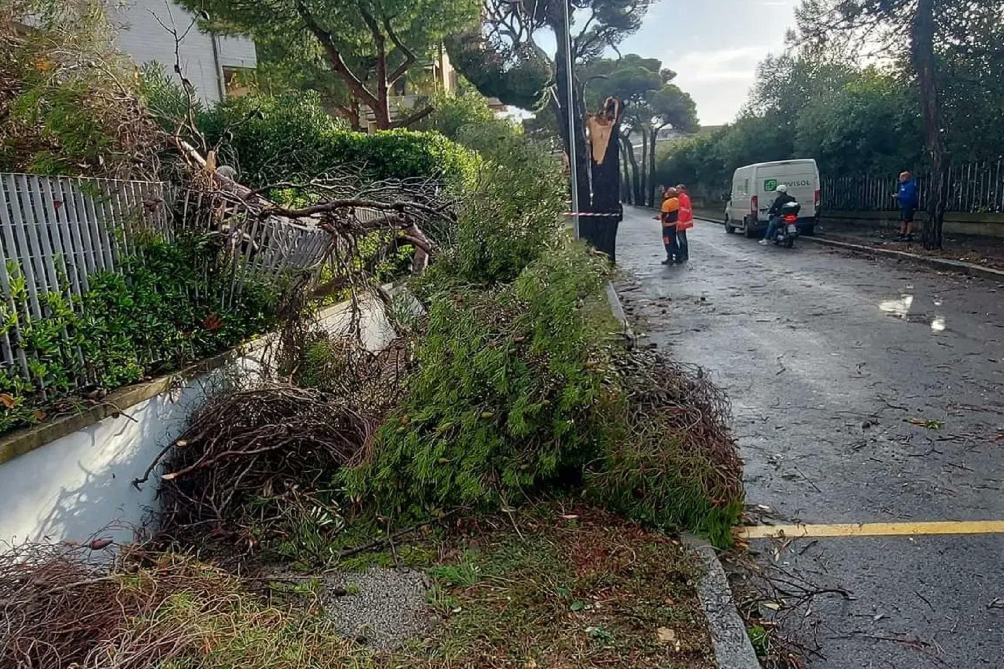 Maltempo, è allerta meteo in Toscana: tromba d'aria si abbatte su Antignano