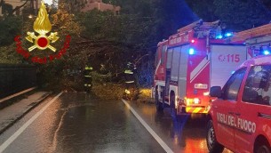 Maltempo in Liguria, cadono alberi e massi sull'Aurelia: strada chiusa in due tratti