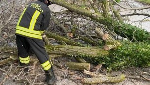 Maltempo Italia, alberi su auto in Emilia Romagna. Forti raffiche di vento in Toscana