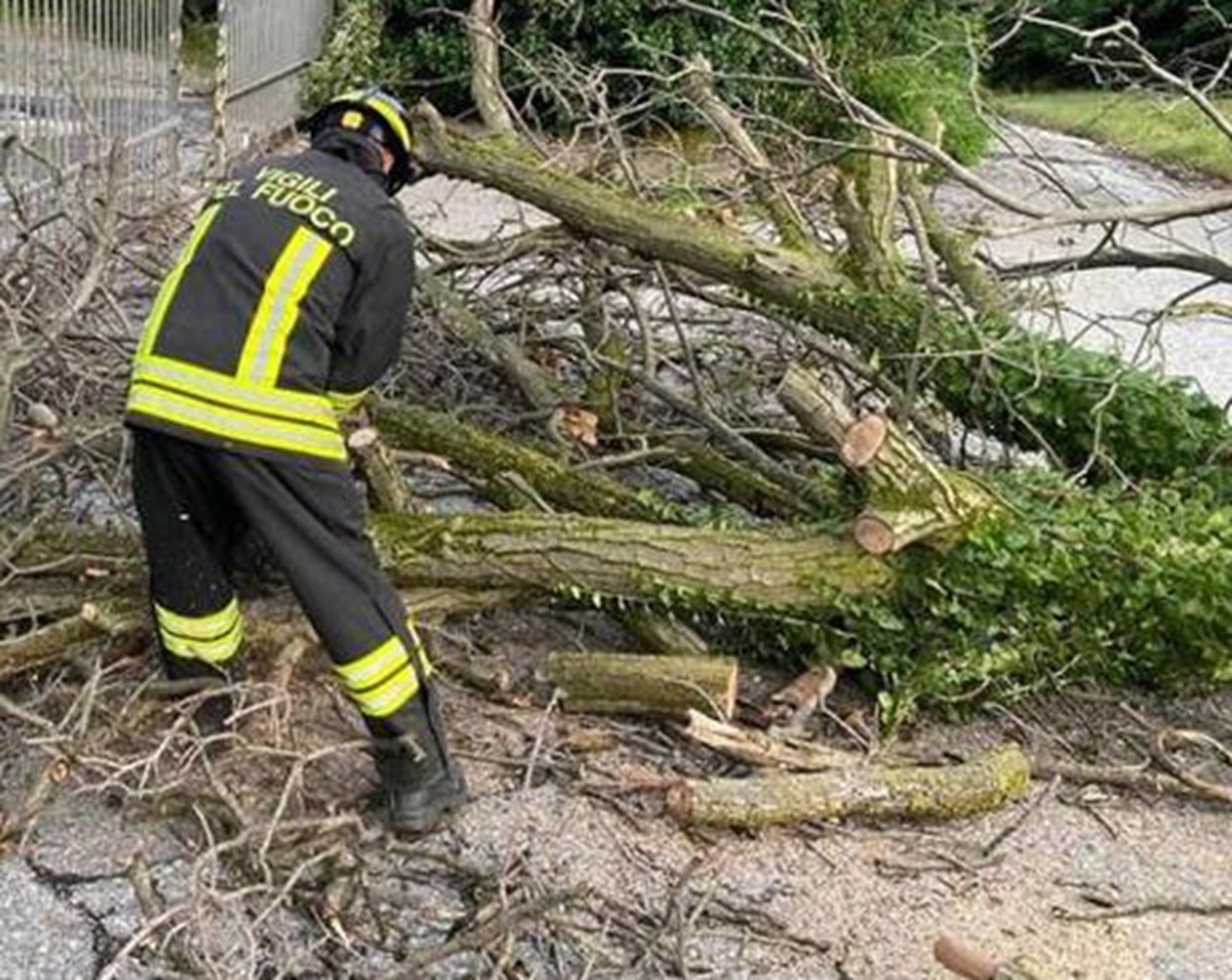 Maltempo Italia, alberi su auto in Emilia Romagna. Forti raffiche di vento in Toscana
