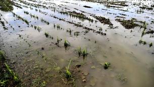 Maltempo Italia, campagne sott’acqua: è allarme