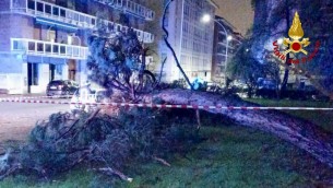 Maltempo nel biellese, alberi caduti e allagamenti