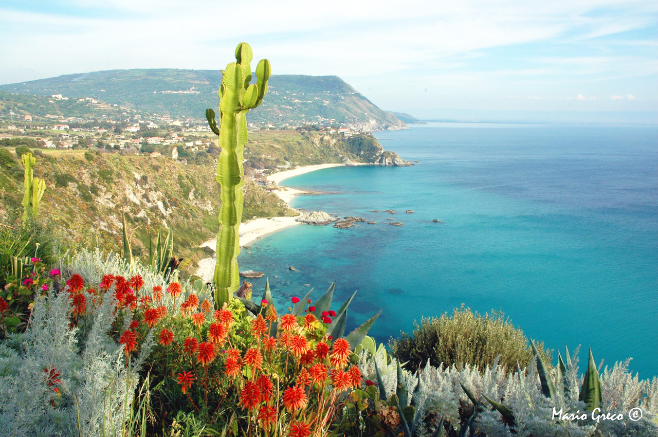 mare-fiori