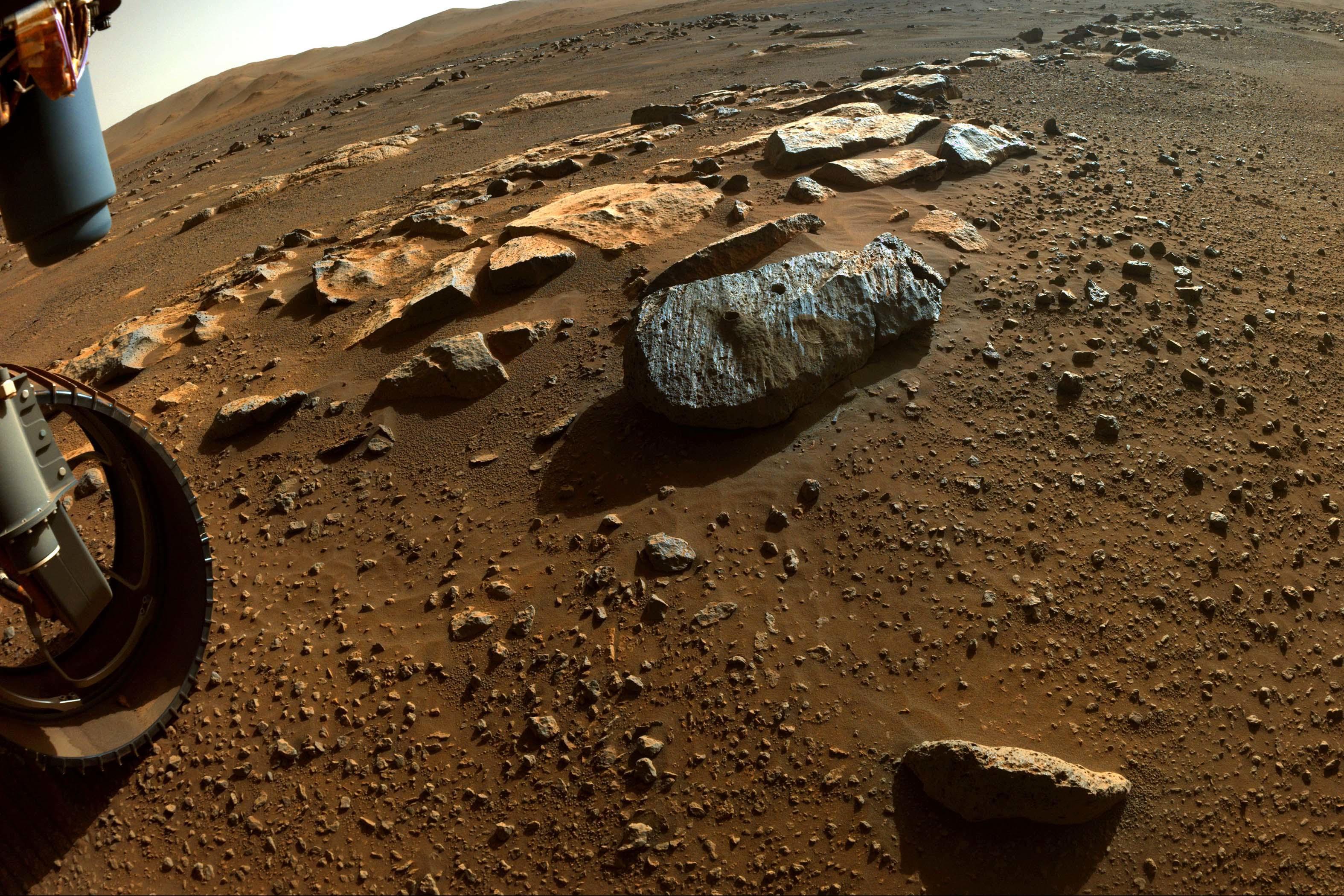 Marte, Nasa scopre molecole organiche: "Possibili tracce di vita"