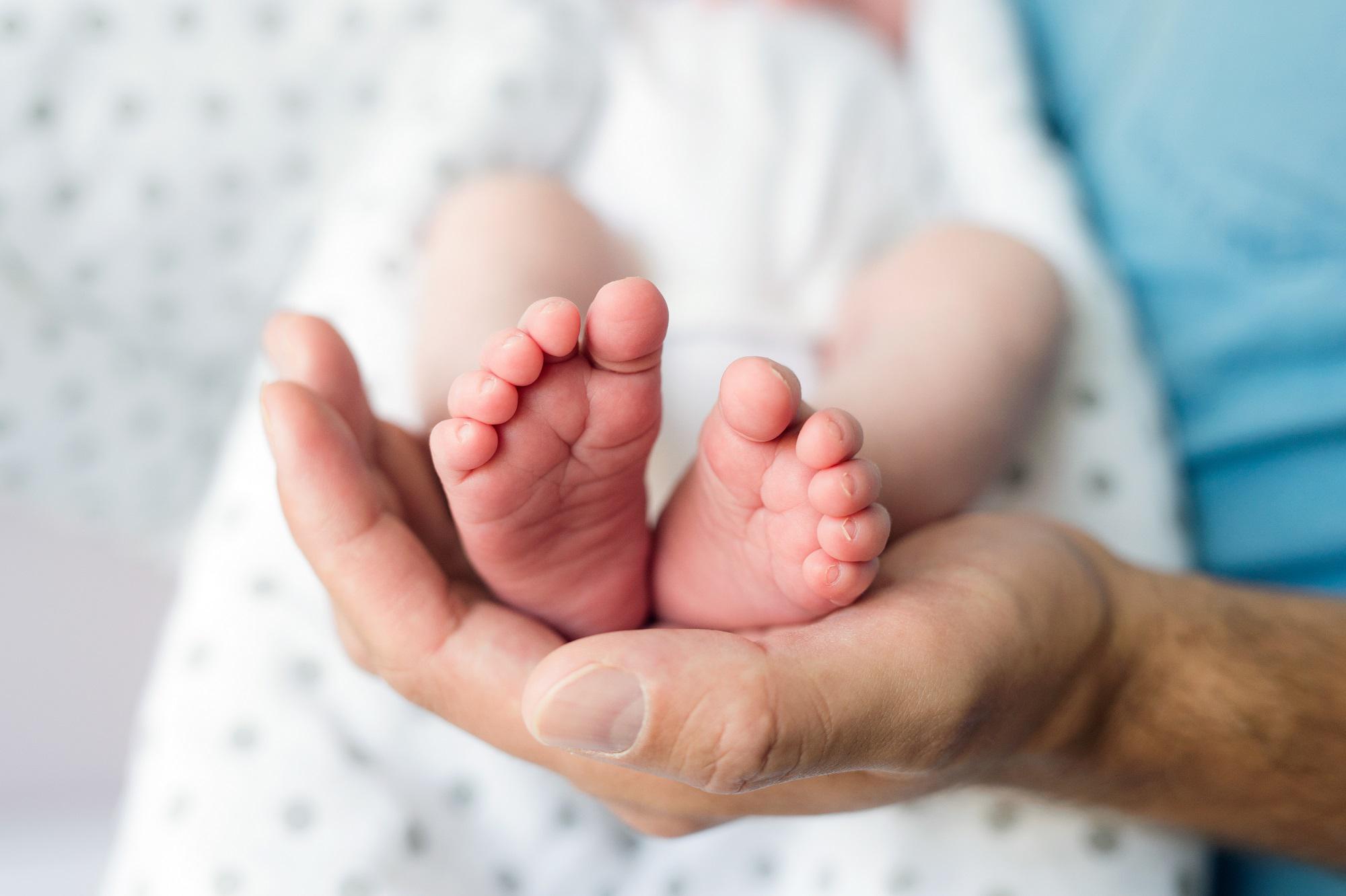 Maternità surrogata, clinica Kiev: "Qui 30 coppie italiane al mese per un figlio, costo 65mila euro"