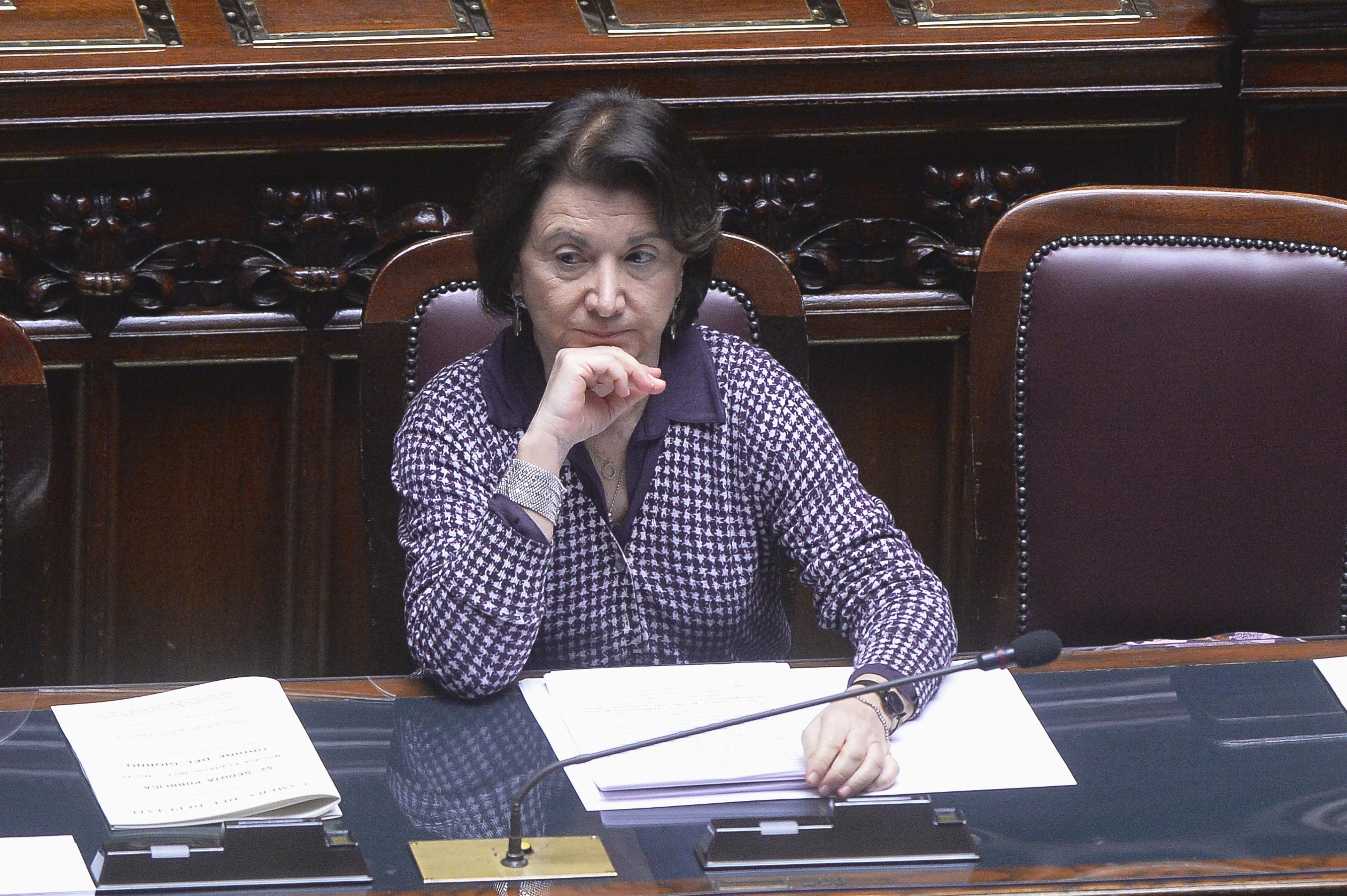 Maternità surrogata, Roccella: "Gay possono essere ottimi genitori ma no a mercato"