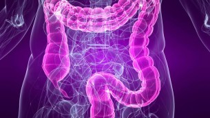 Medicina, sindrome intestino irritabile e sistema cardiovascolare sono legati