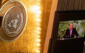 Migranti, Onu all'Italia: "Ritiri il dl sulle Ong"
