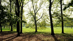 Milano, ritrovata 27enne americana che aveva denunciato violenza sessuale al parco di Trenno