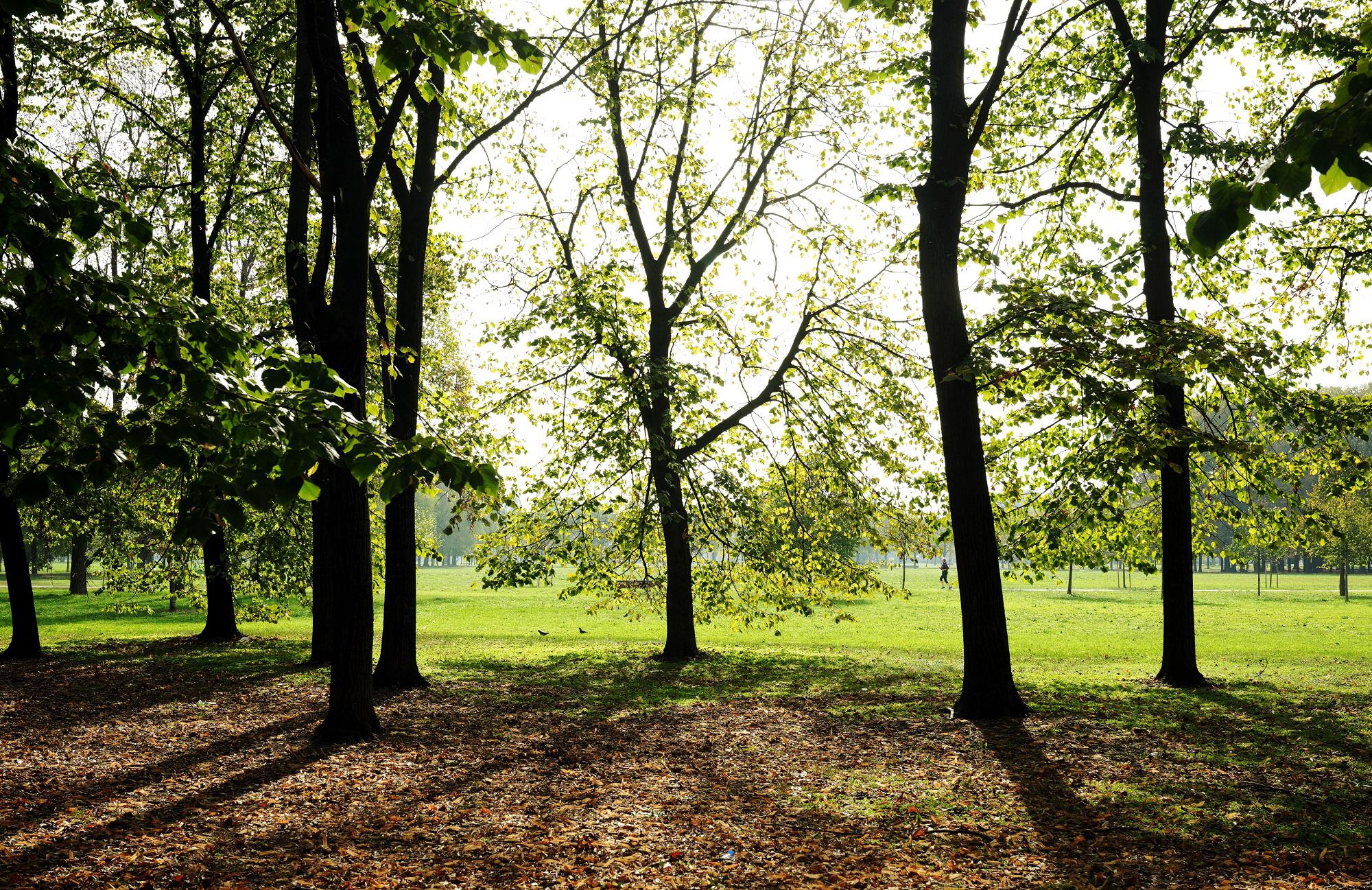 Milano, ritrovata 27enne americana che aveva denunciato violenza sessuale al parco di Trenno