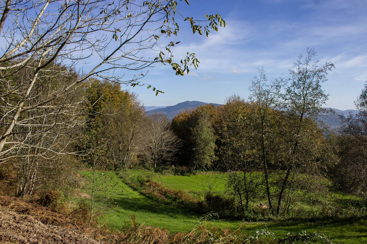 monte-mancuso