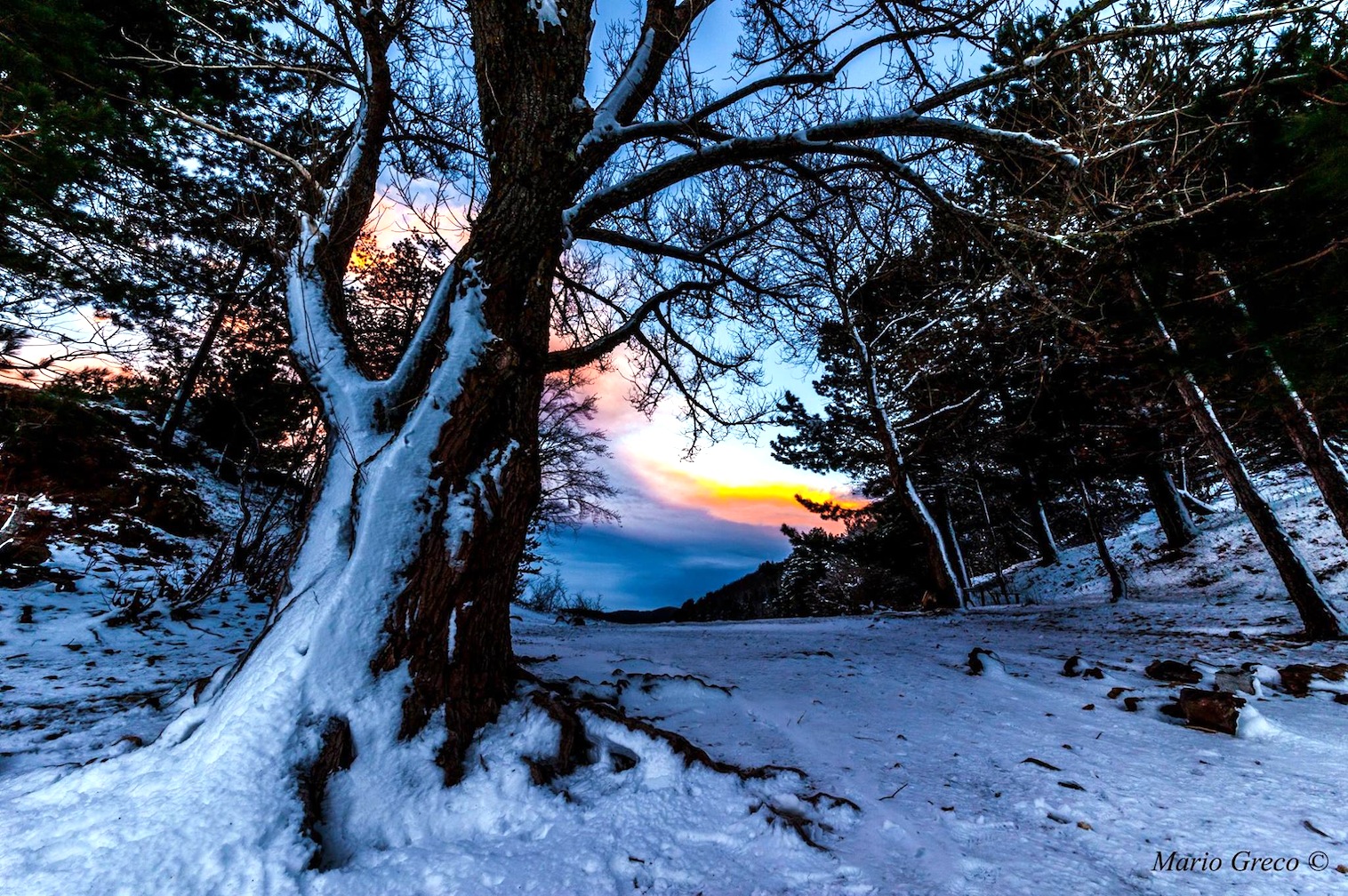 La direzione del vento  (foto Mario Greco)