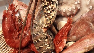 Morta dopo una cena a base di pesce, domani l'autopsia sulla 40enne