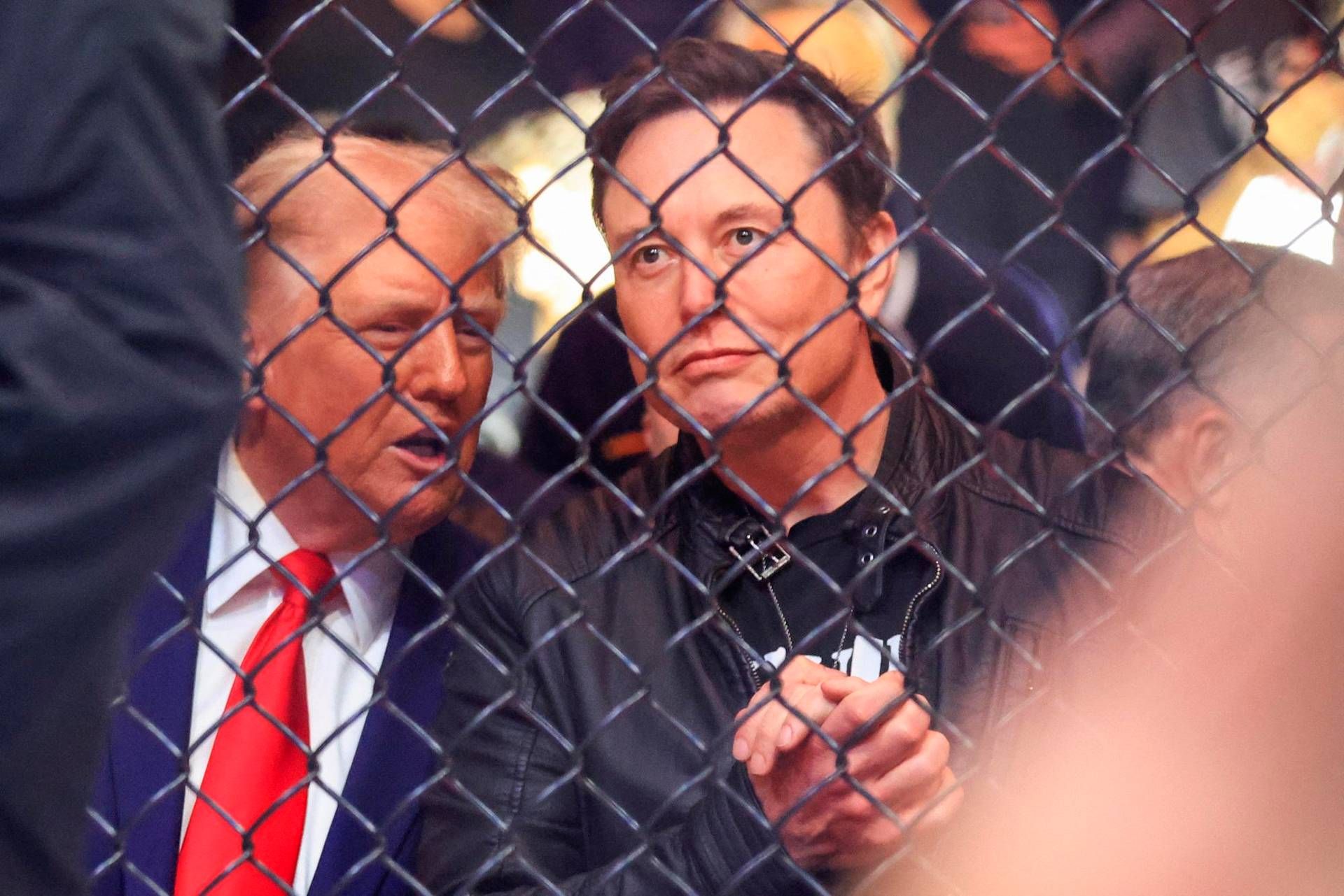 Musk: "Amo Trump come un etero può amare un uomo"