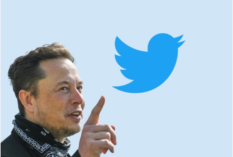 Musk compra Twitter e licenzia quattro top manager: "L'uccellino è libero"