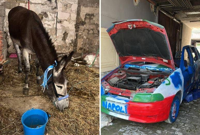Napoli-Cagliari, l''asino azzurro' e l'auto tricolore: i sequestri verso lo scudetto