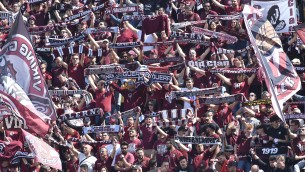 Napoli-Salernitana 1-1, tifosi granata in delirio: "Festa rovinata, che goduria!"