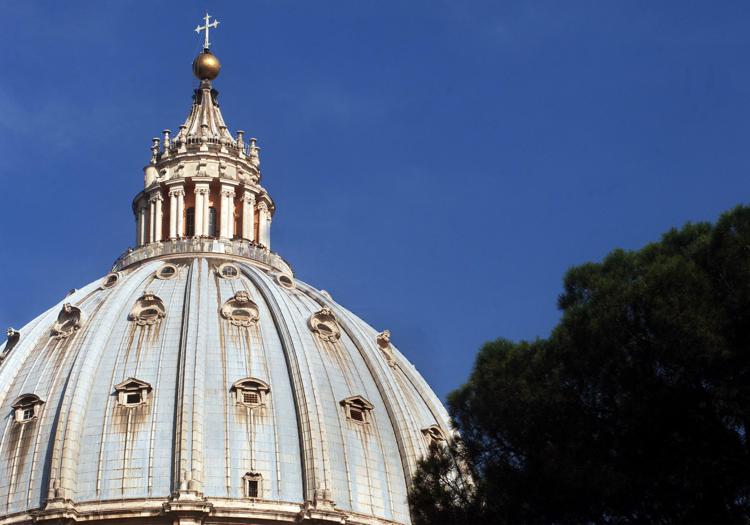 Natale, scoppia il caso sull'abete che andrà a San Pietro