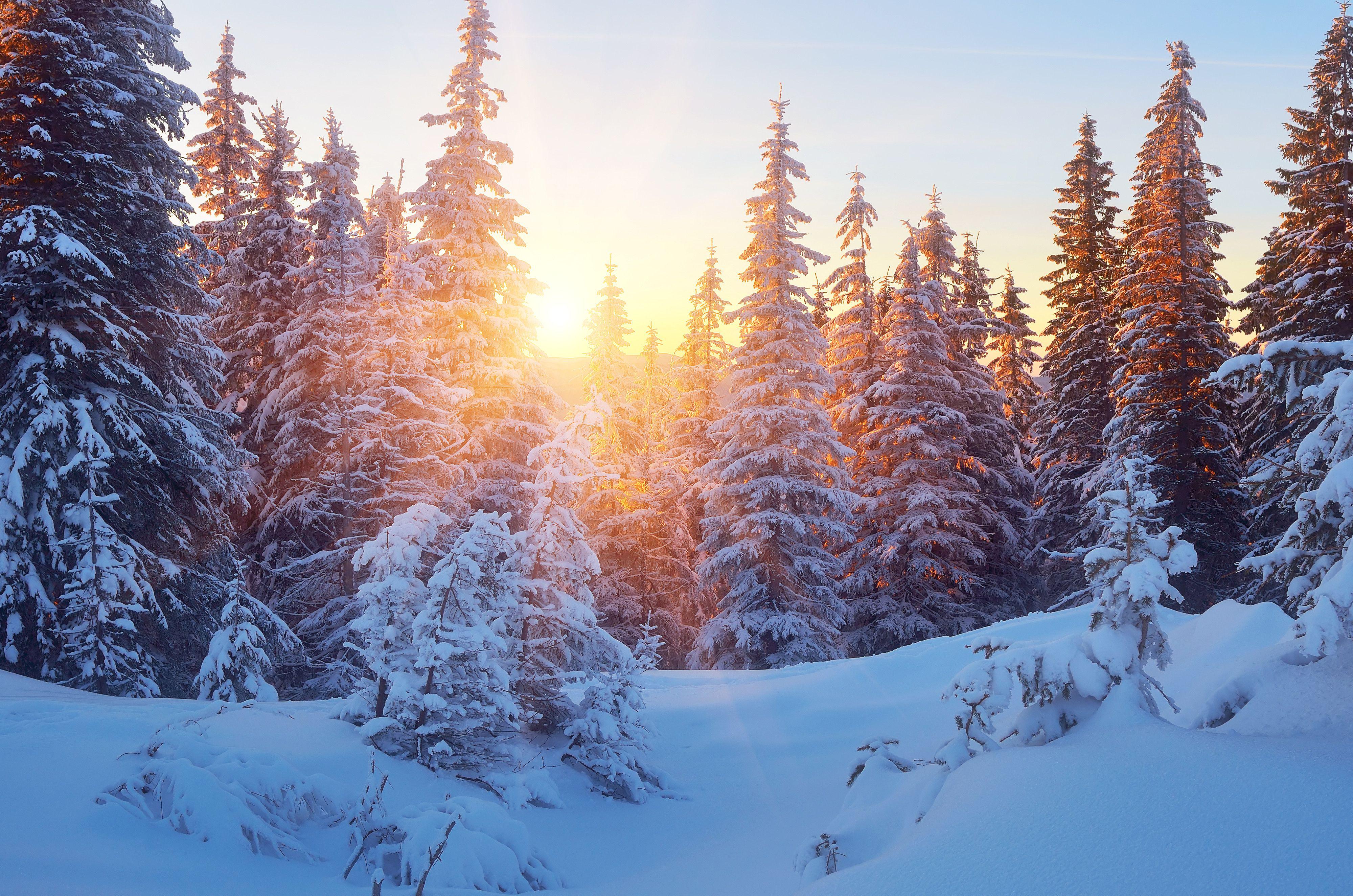 Natale sotto la neve in diverse zone d'Italia