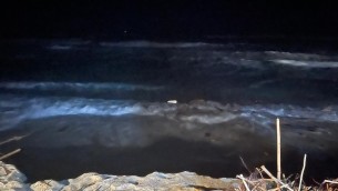 Naufragio Crotone, il racconto di un superstite: "Barca contro scoglio e si è spezzata"