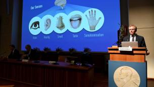 Nobel Medicina 2021, premio al senso della pelle per carezze e calore