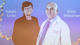 Nobel Medicina 2023, chi sono Karikó e Weissman: 'genitori' vaccini a mRna