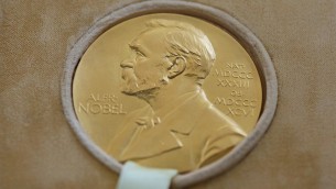 Nobel pace 2023, Zelensky o Navalny? Aumentano chance donne, indigeni e ambientalisti