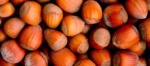 nocciola