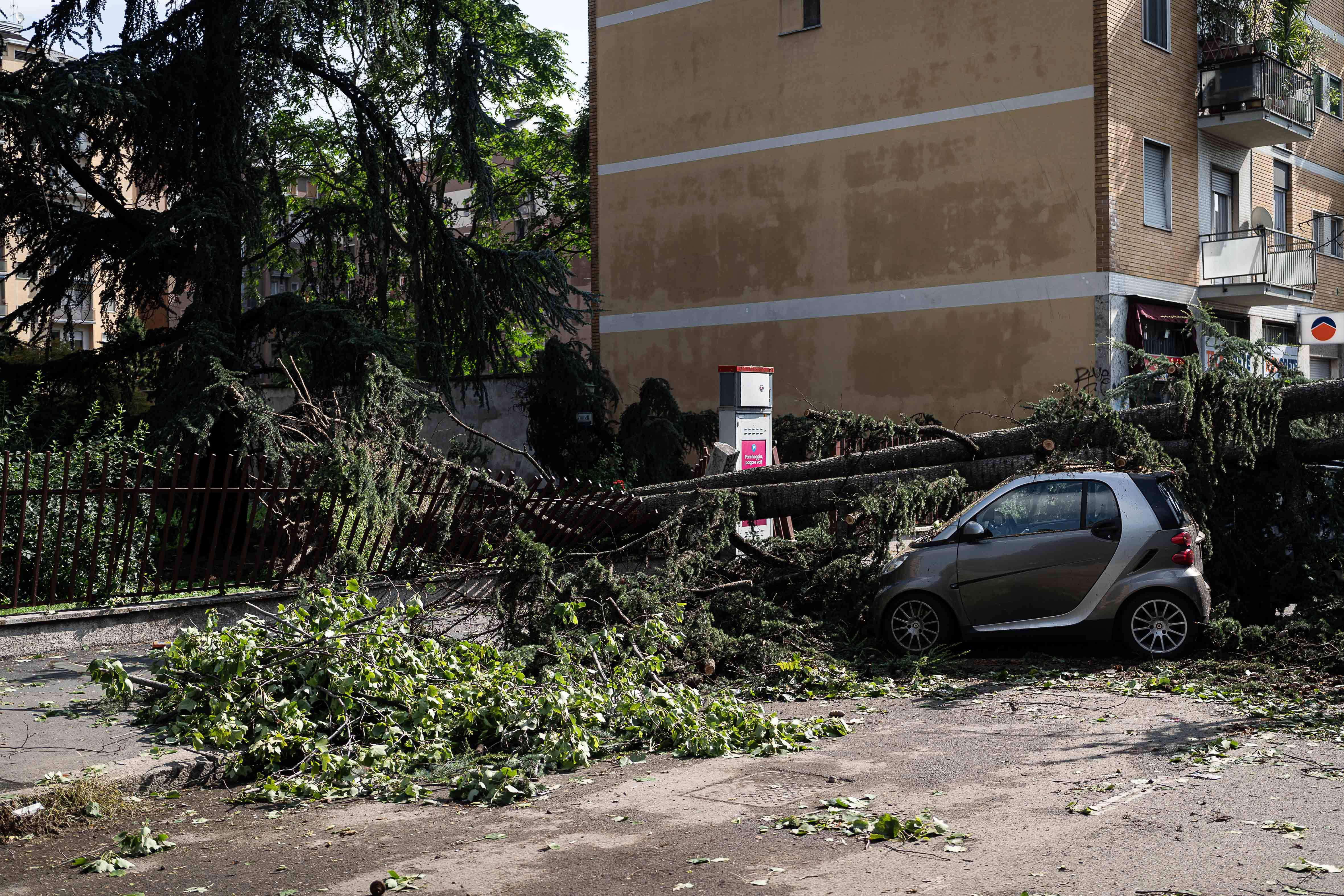 Nubifragio Milano, città sfigurata: alberi abbattuti e strade bloccate - Video