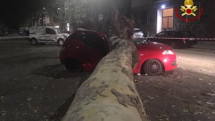 Nubifragio oggi a Milano, alberi caduti e tetti pericolanti