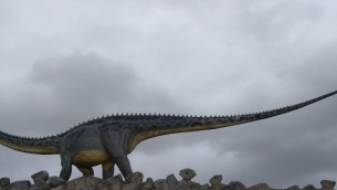 Nuova scoperta sui dinosauri, le loro code armi ma non si muovevano a velocità supersonica