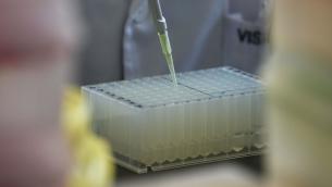 Nuovo virus identificato in Cina: sintomi, cos'è e come si trasmette