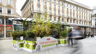 Oasi urbane, da Coop 10mila alberi in 10 città italiane