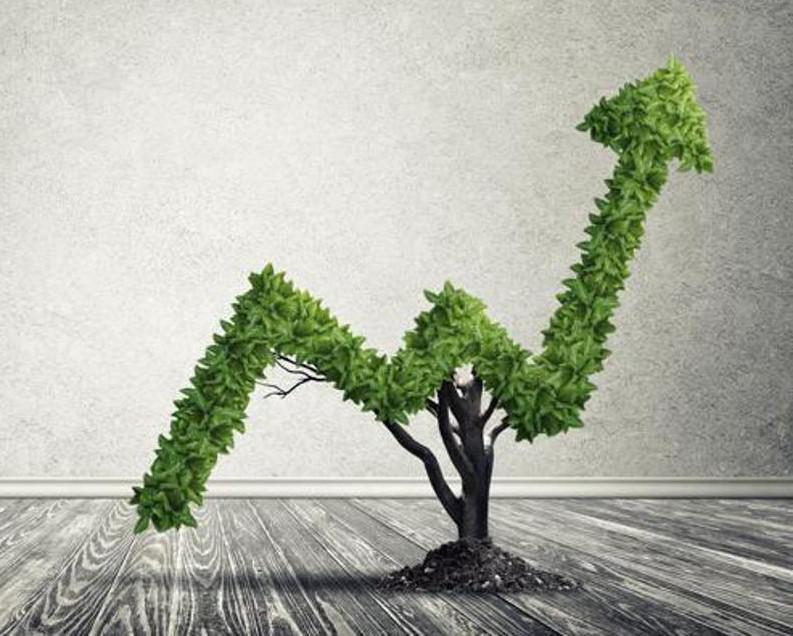 'Obiettivo Esg', nuovo canale dedicato sul sito Adnkronos