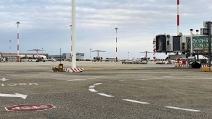 Odore di bruciato a bordo di un aereo, atterraggio di emergenza a Venezia