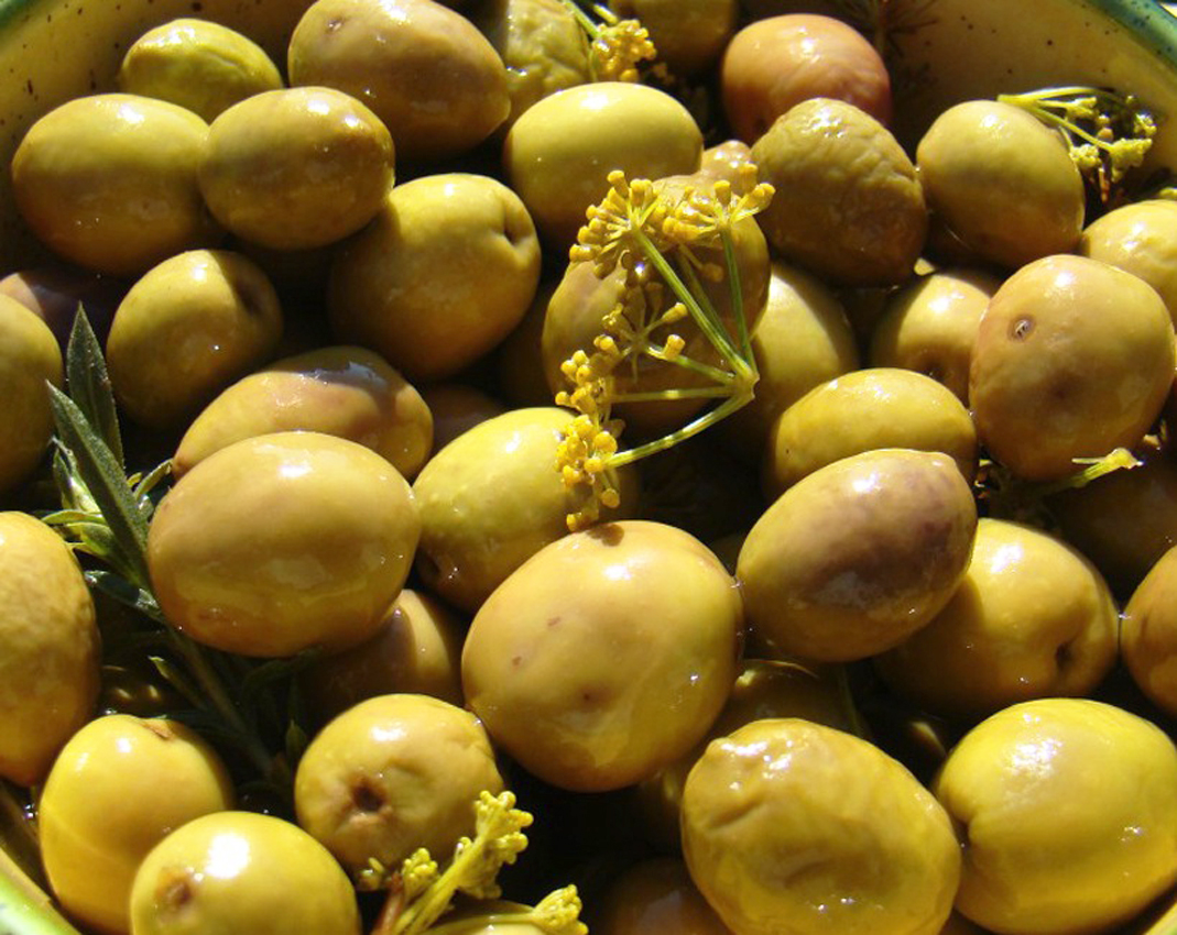 olive-in-salamoia
