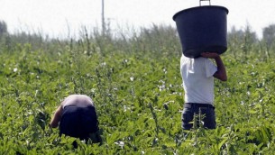 "Operai minacciati e paga da fame", 8 misure cautelari a Caltanissetta