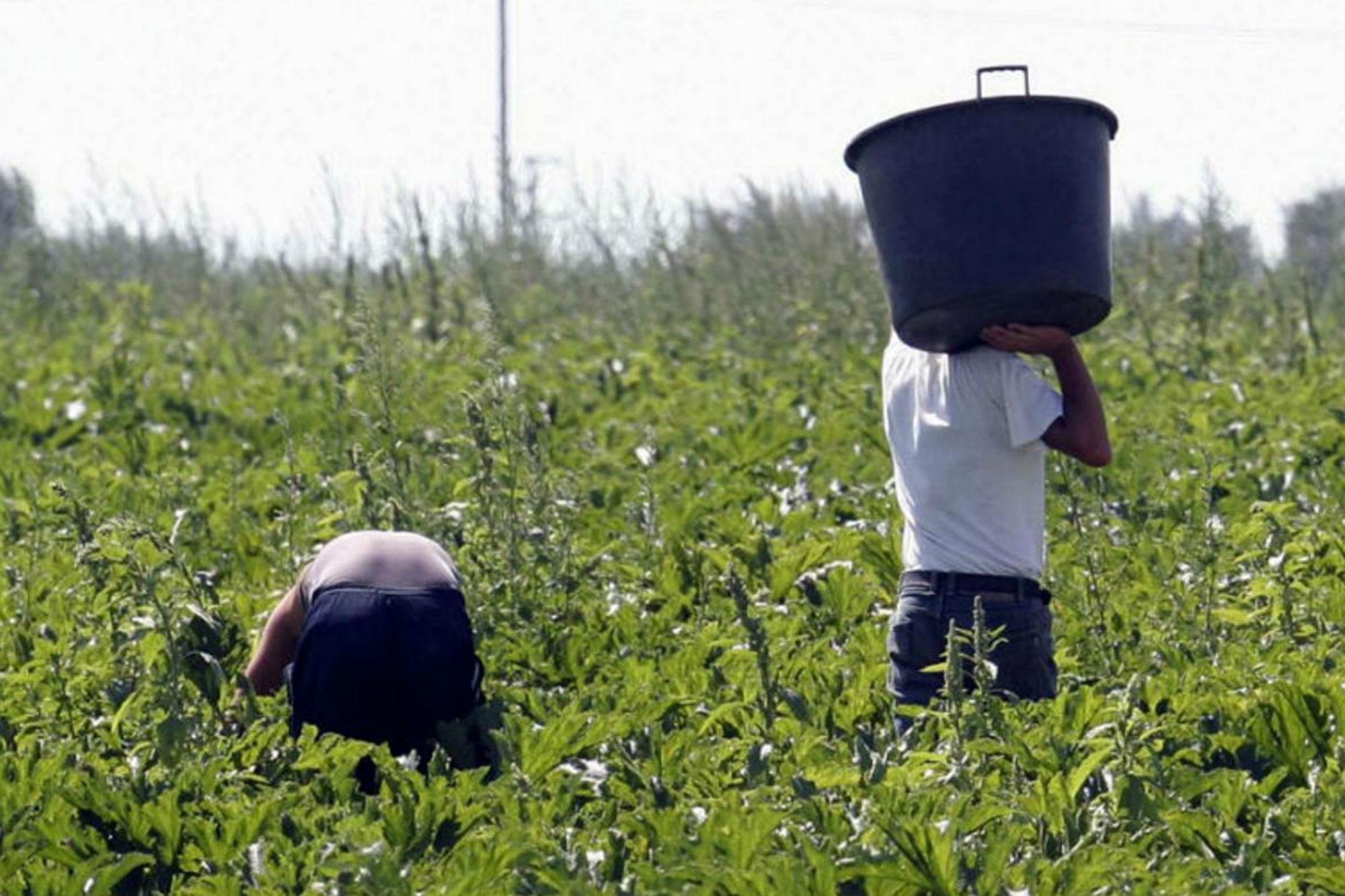 "Operai minacciati e paga da fame", 8 misure cautelari a Caltanissetta