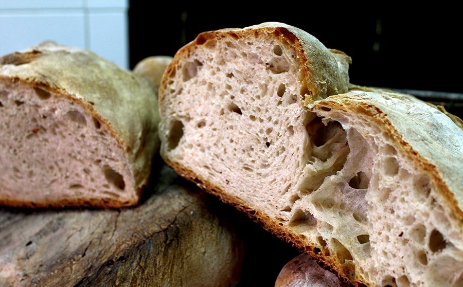 original_Pollino-pane-di-cerchiaria-interno-small