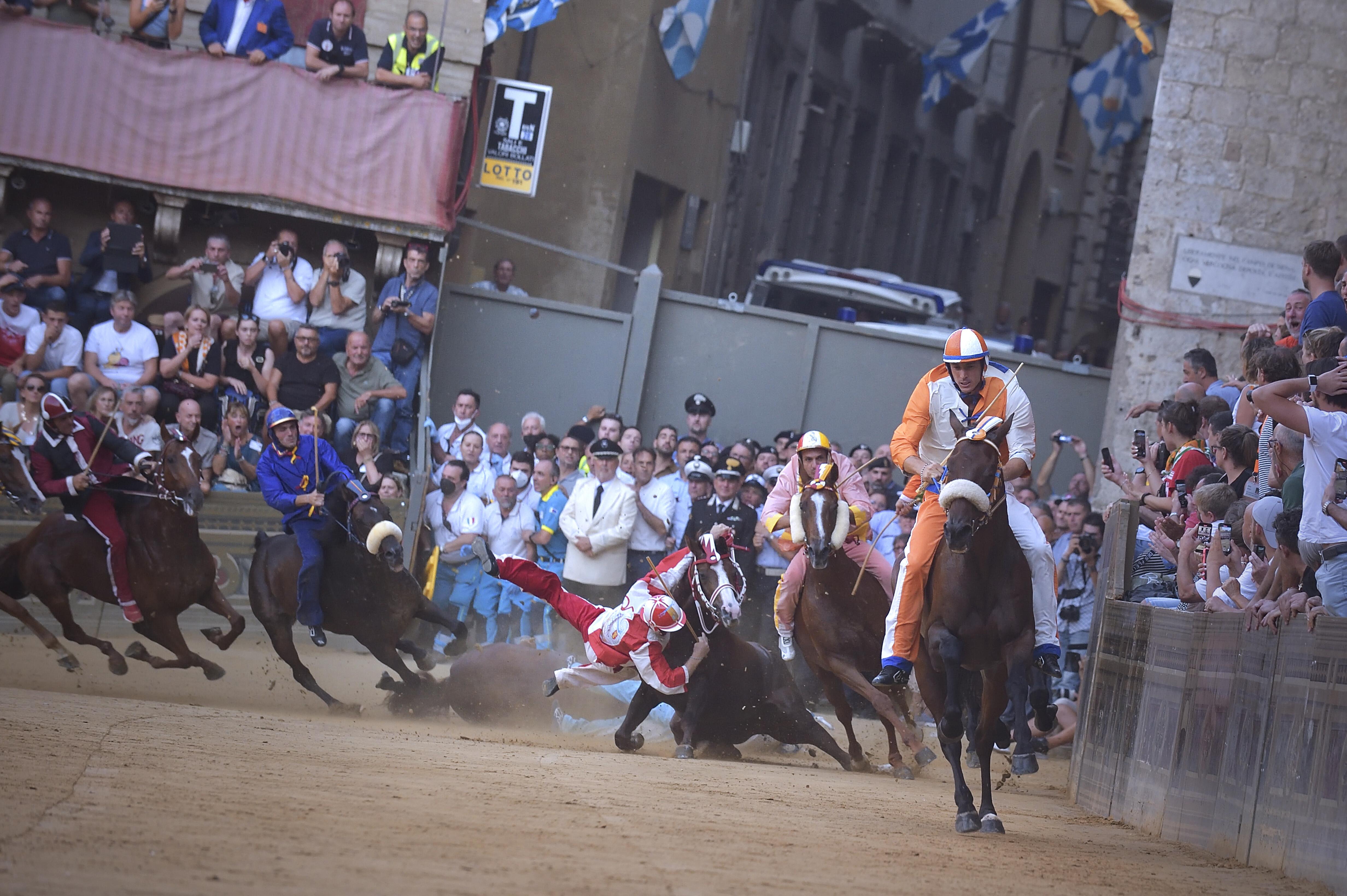 Palio di Siena, Oipa: "Basta, mette in pericolo la vita dei cavalli"