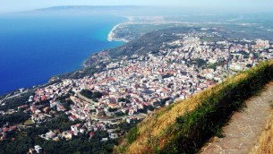 palmi