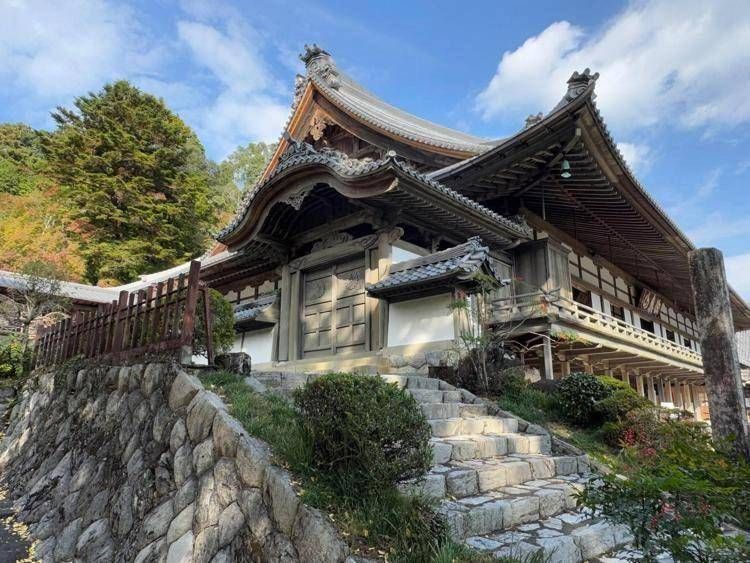 Papa, la 'tristezza' dei monaci Zen delle montagne: anche il Giappone lo piange