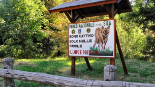 parco della sila_6