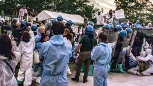 Peste suina, irruzione nel rifugio pavese per abbattere tutti i maiali